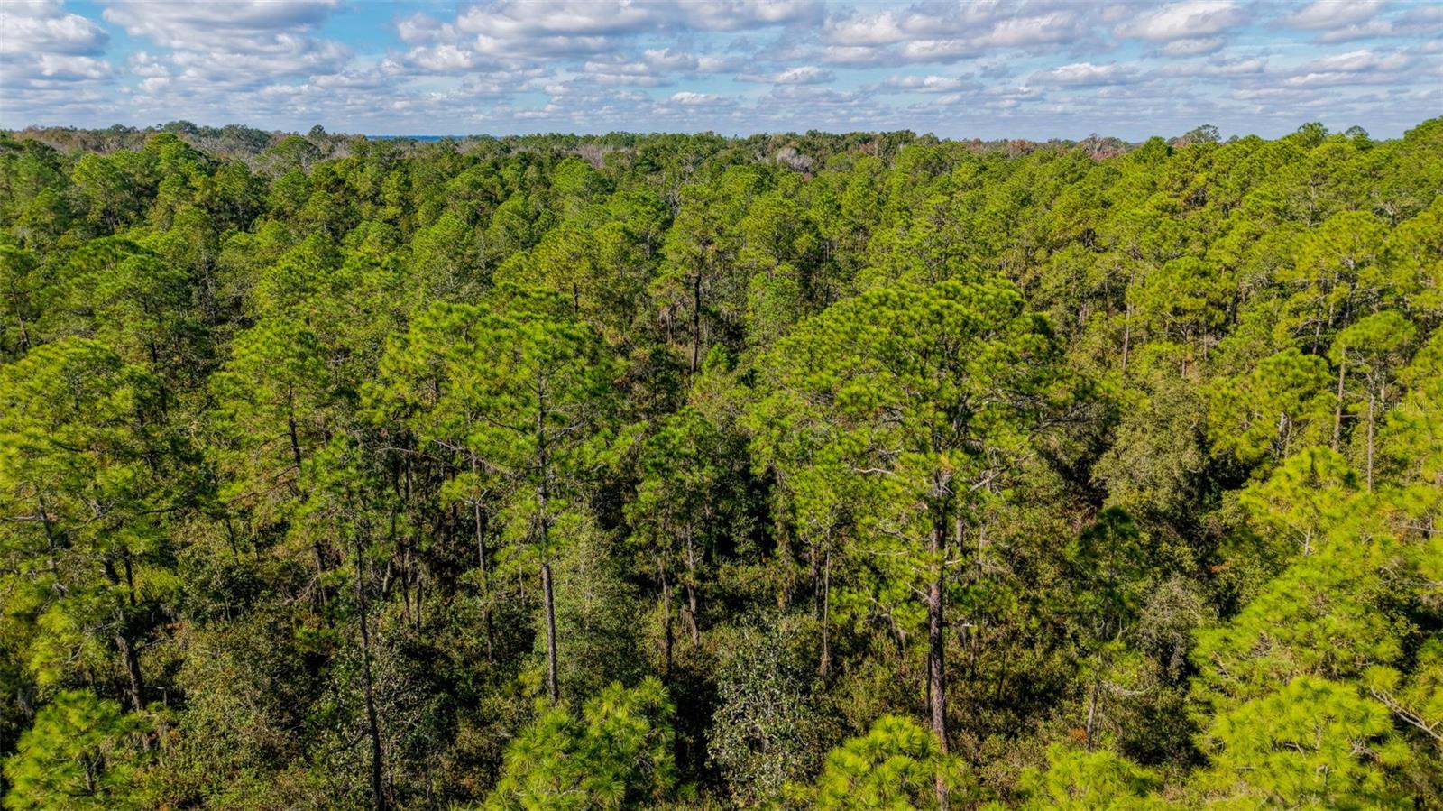 Image 32 of 36 For  Off Hwy 325  