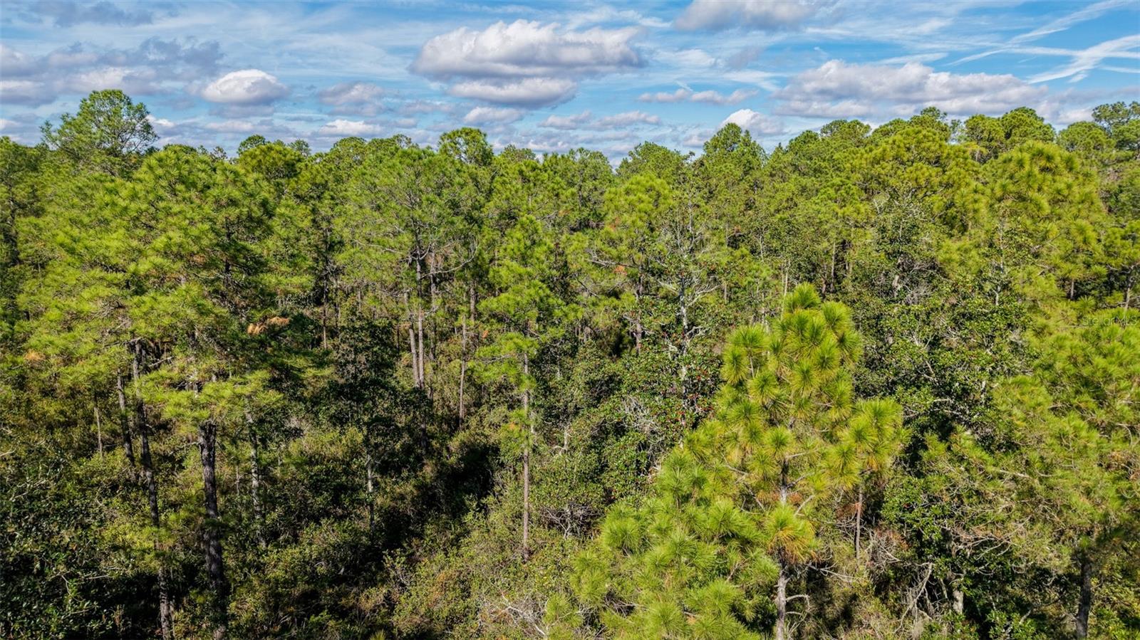 Image 33 of 36 For  Off Hwy 325  