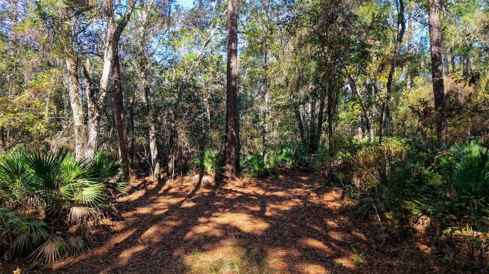 Image 5 of 36 For  Off Hwy 325  