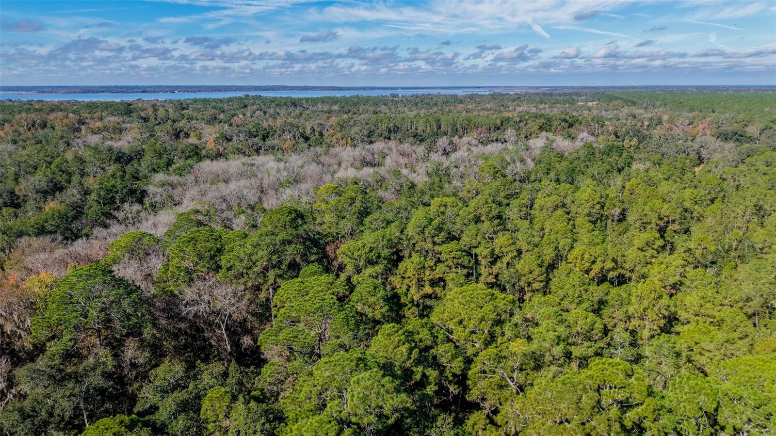 Image 6 of 36 For  Off Hwy 325  