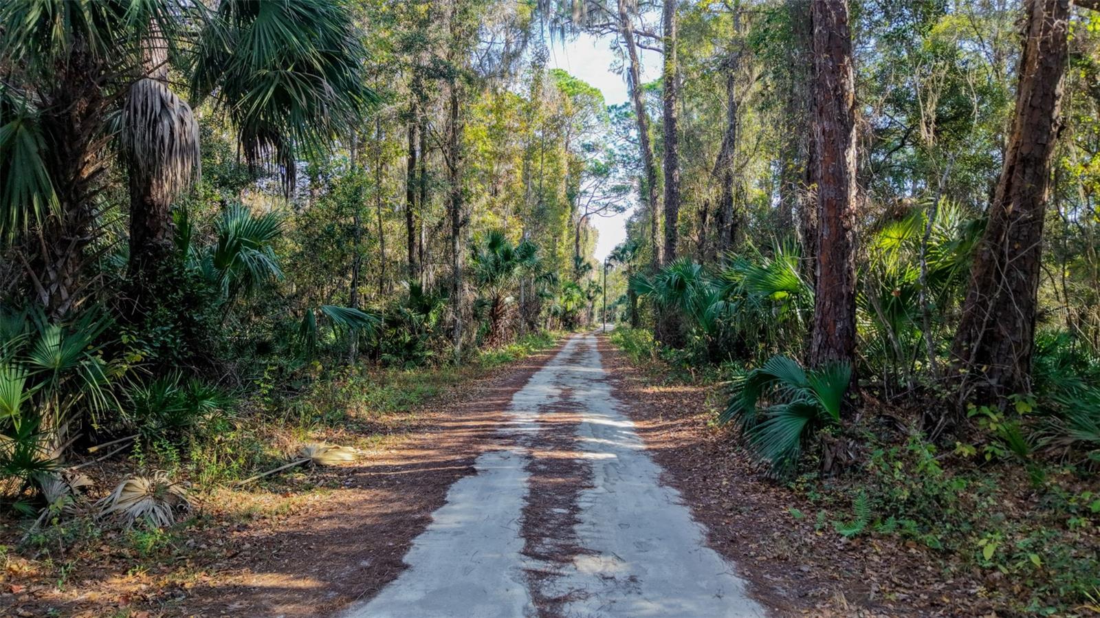 Image 7 of 36 For  Off Hwy 325  