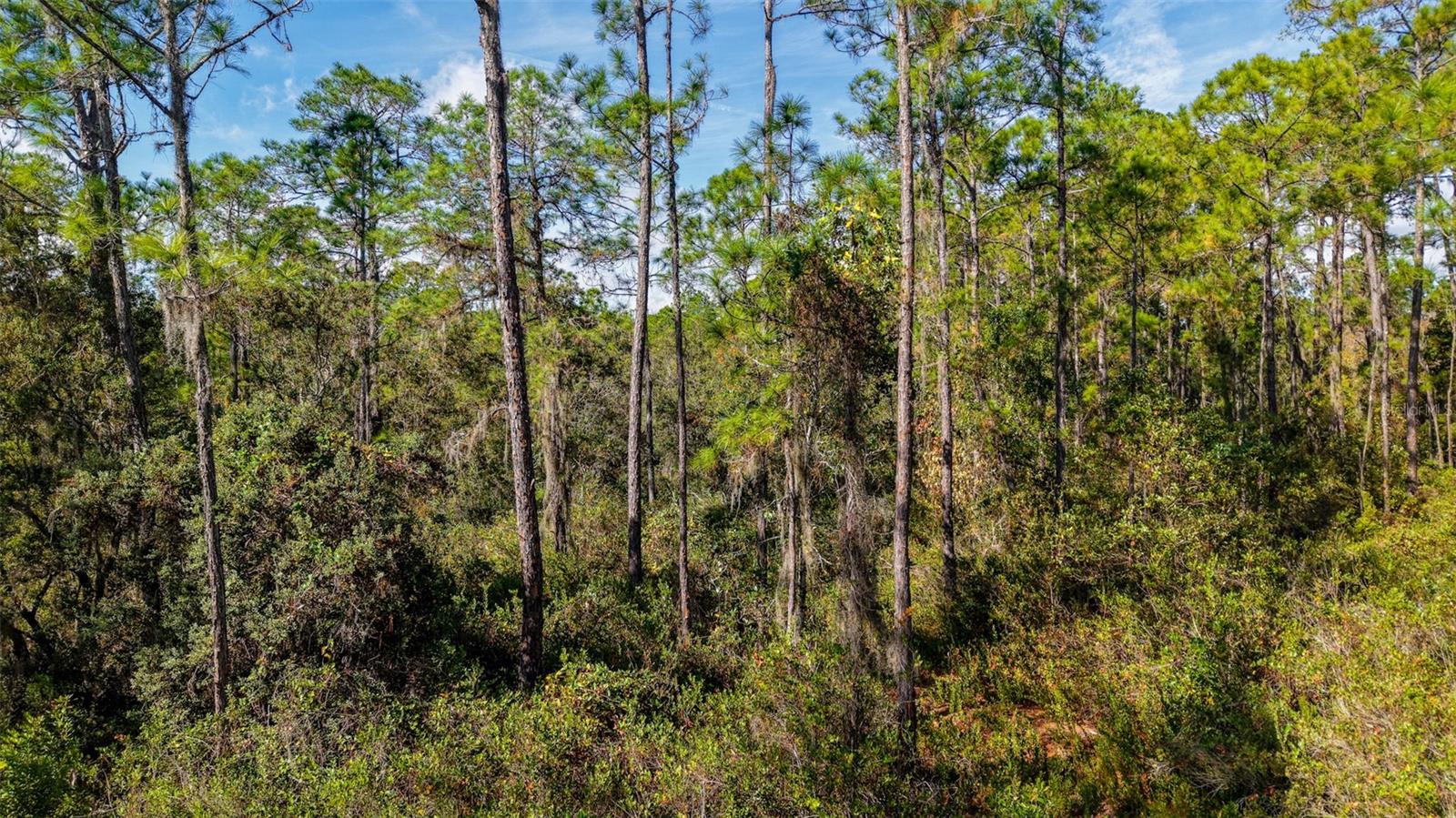 Image 8 of 36 For  Off Hwy 325  