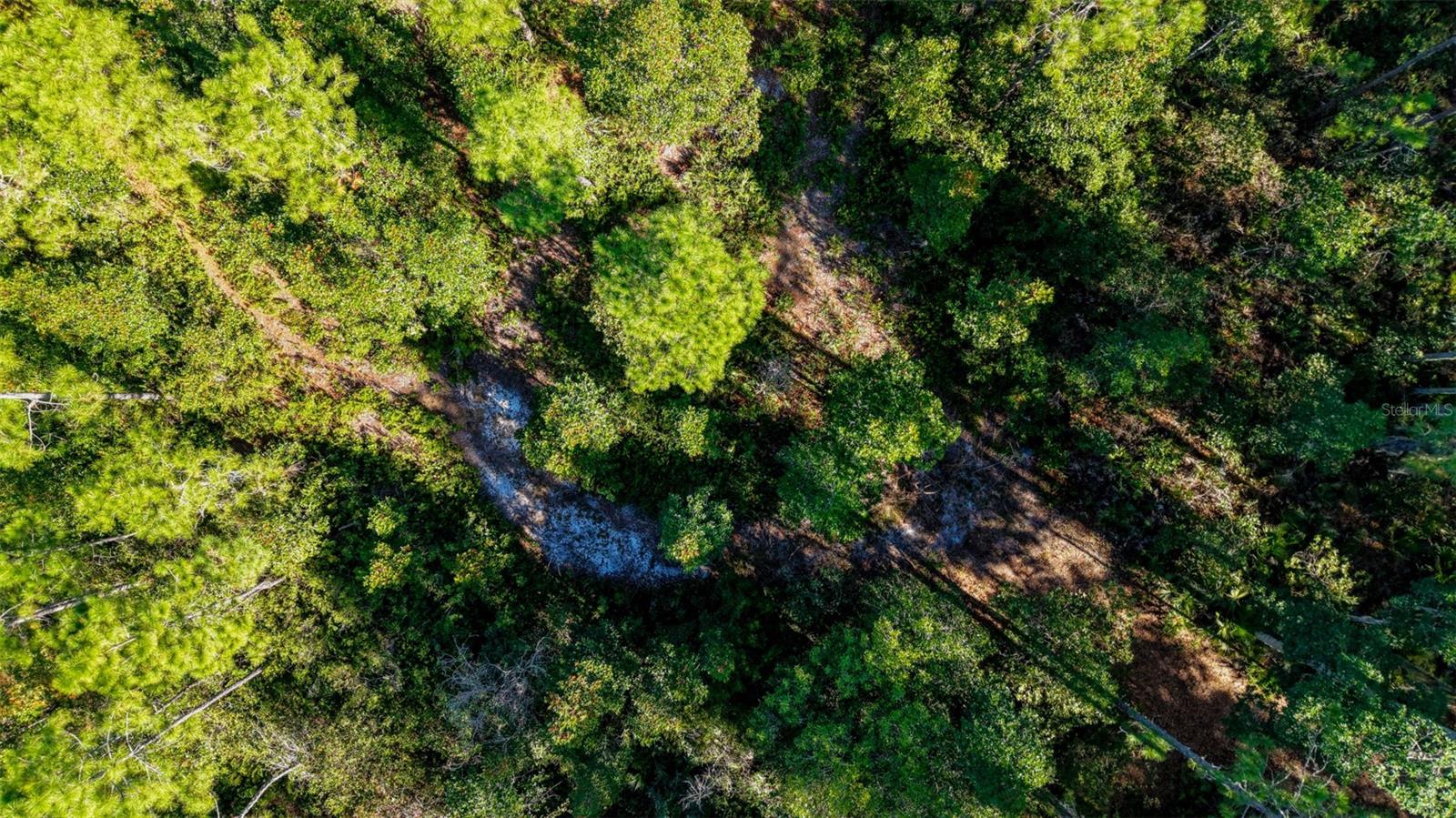 Image 9 of 36 For  Off Hwy 325  