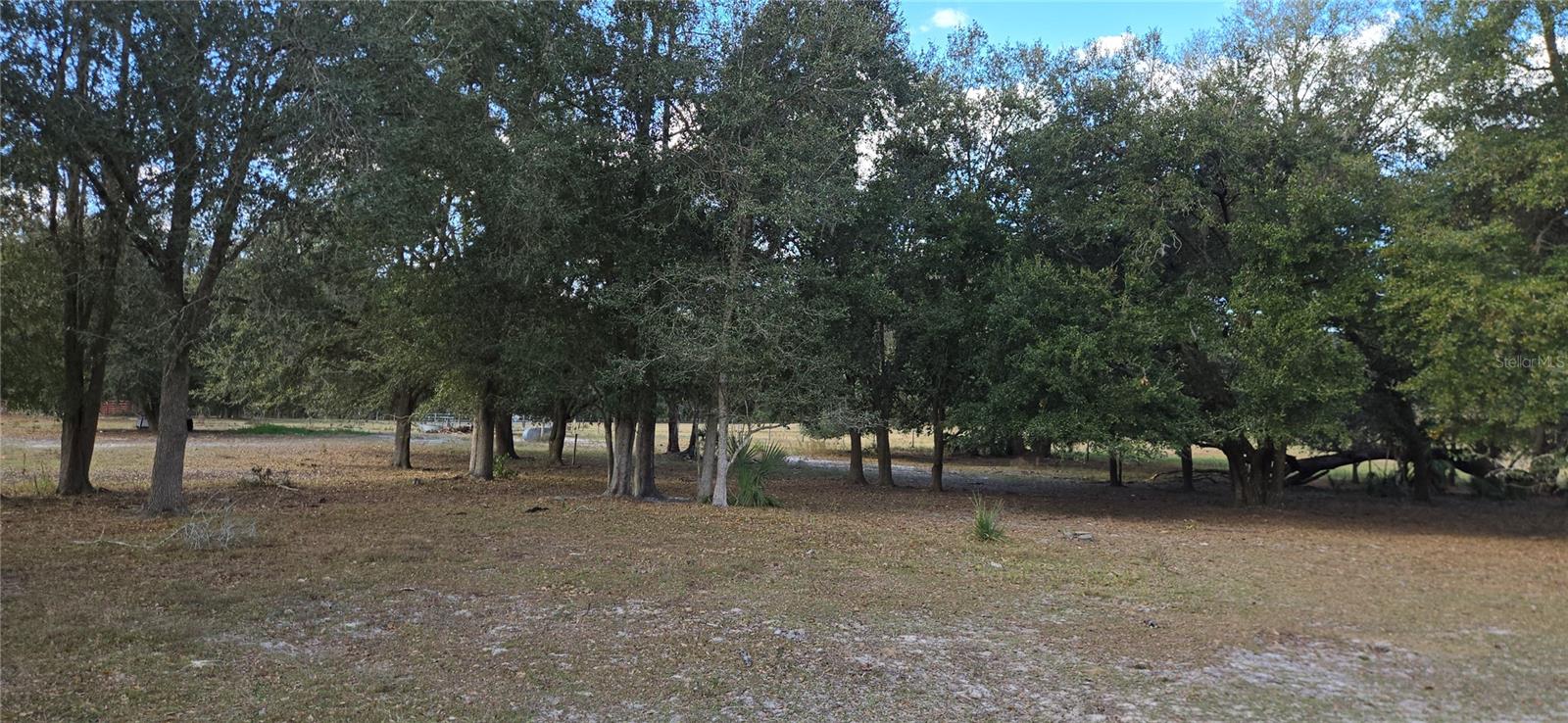 Image 18 of 23 For 00 Jacobs Way