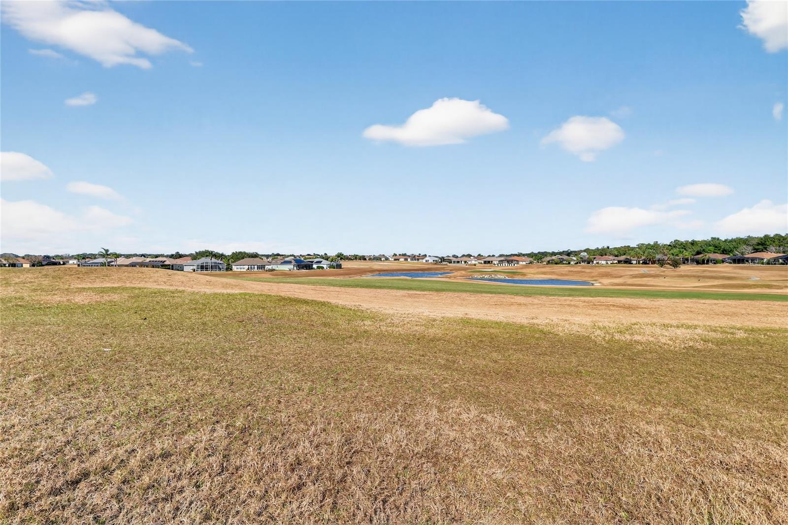 Image 8 of 30 For 12384 176th Loop