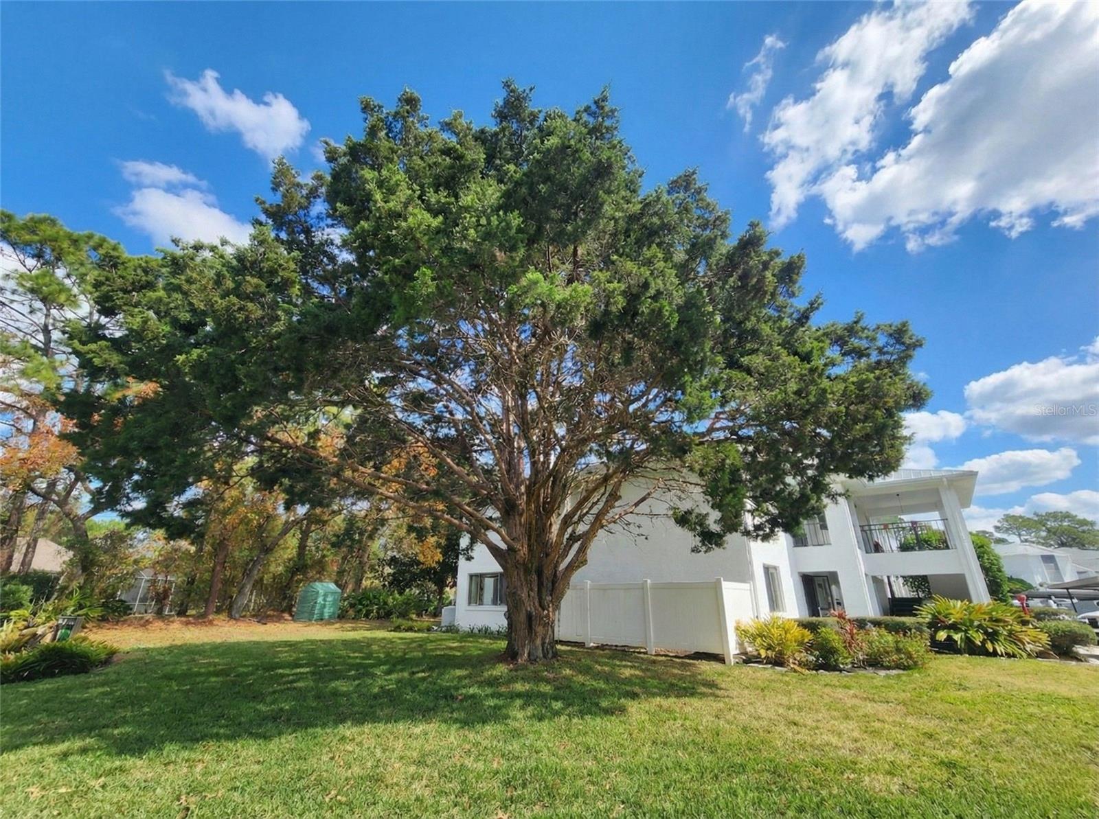 Image 18 of 21 For 91 Anton Court Q