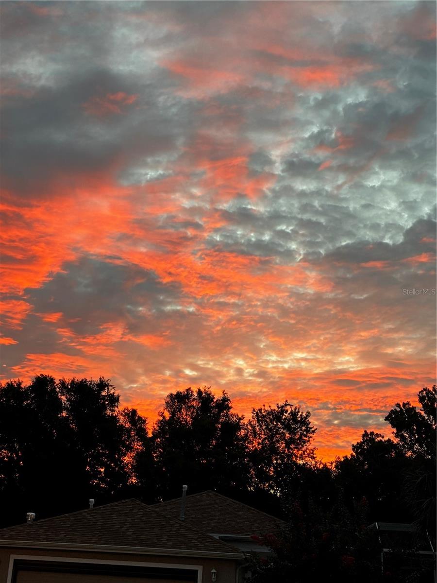 Image 28 of 30 For 16288 14th Avenue Road