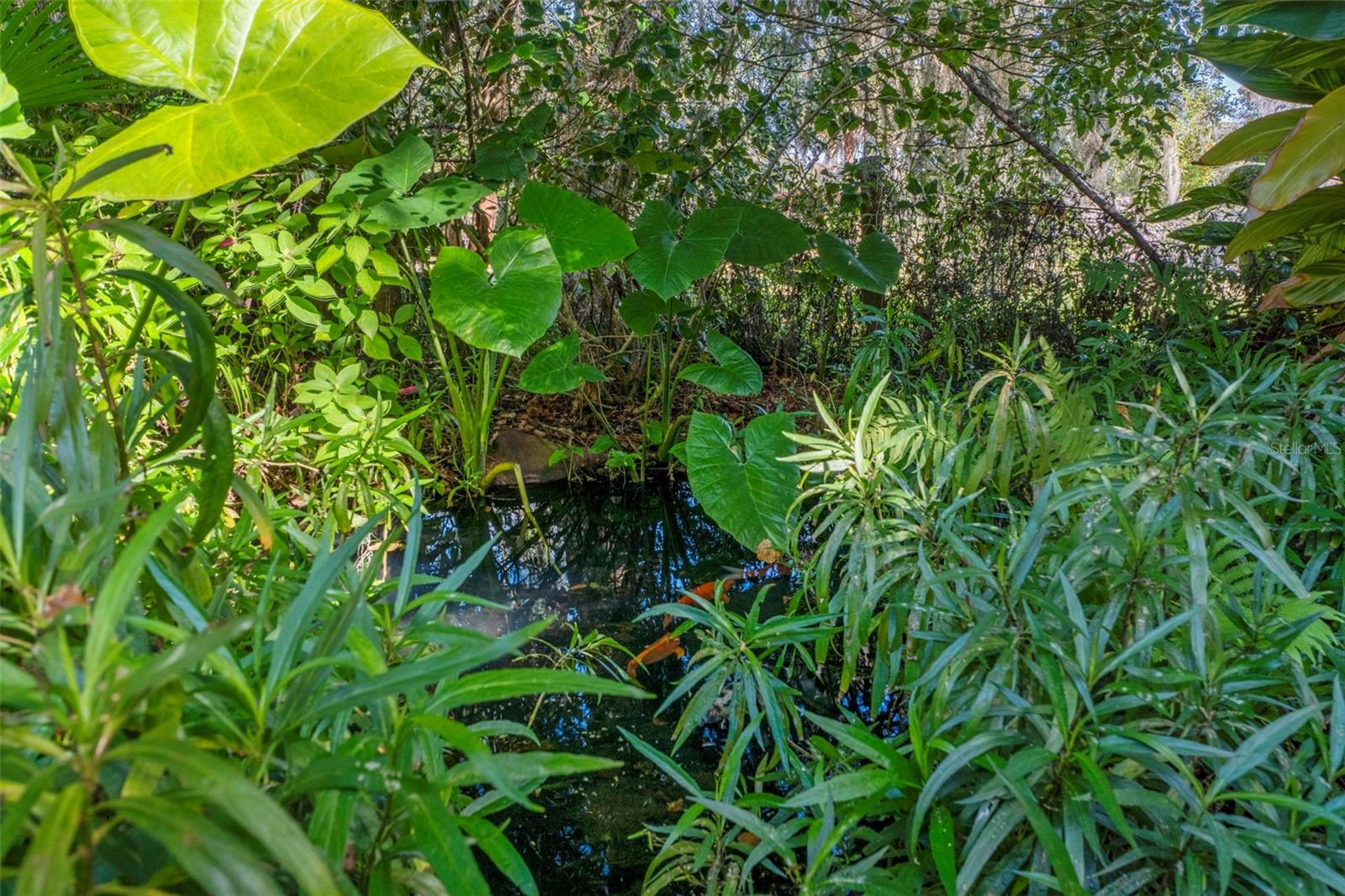 Image 53 of 99 For 27910 Debbie Road