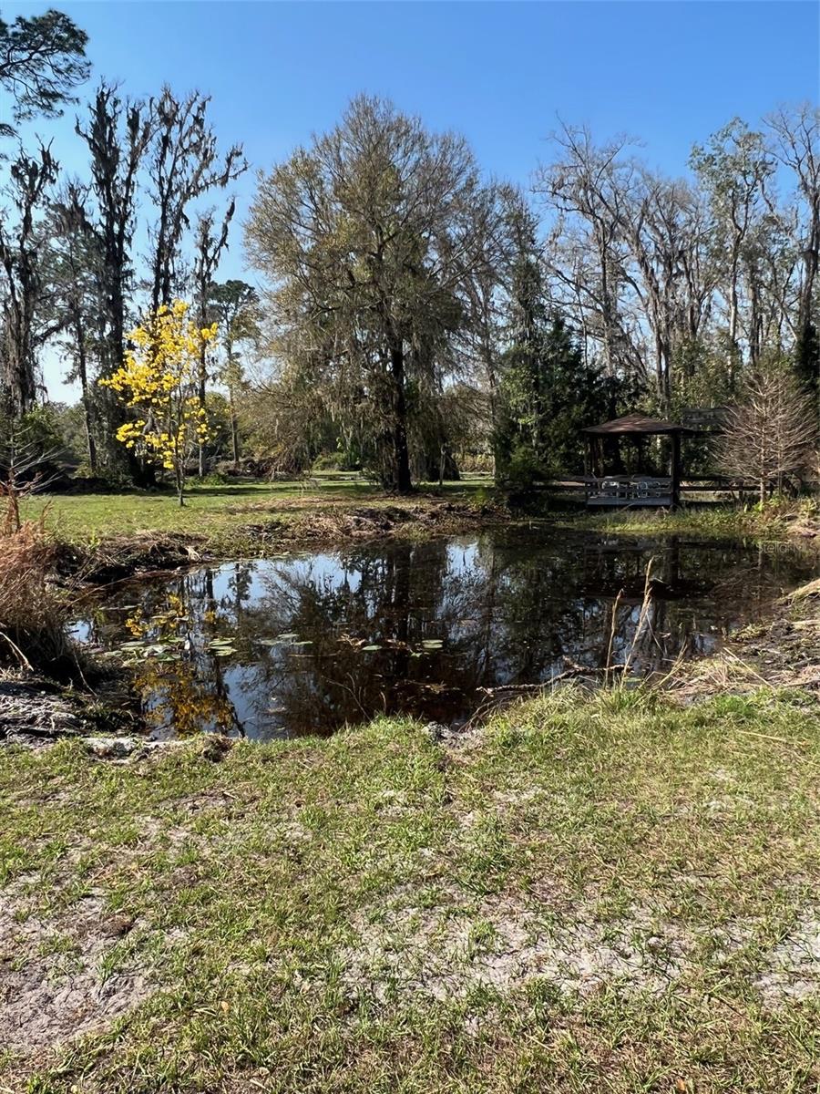 Image 84 of 99 For 27910 Debbie Road