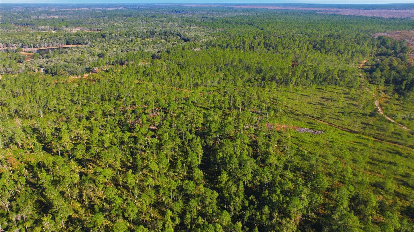 Image 4 of 9 For Tbd (lot 5) 115th Lane Road