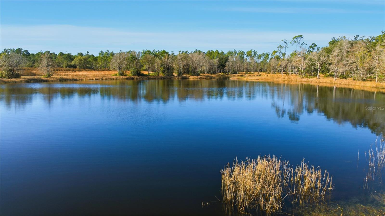 Image 6 of 9 For Tbd (lot 5) 115th Lane Road