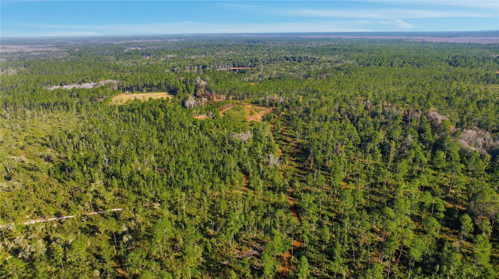 Image 8 of 9 For Tbd (lot 5) 115th Lane Road