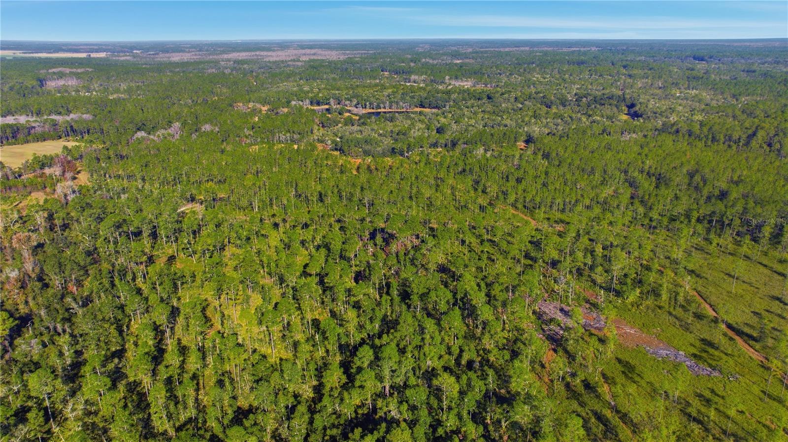 Image 7 of 10 For Tbd (lot 6) 115th Lane Road