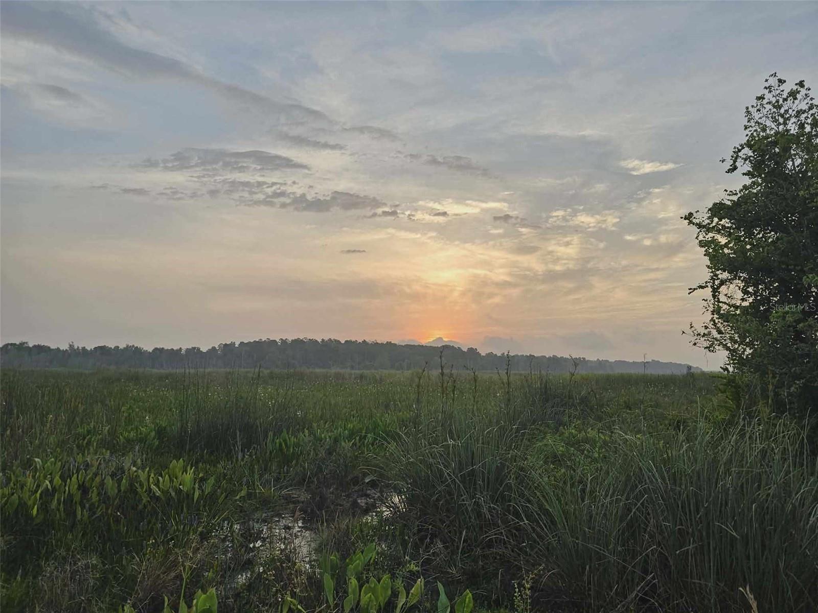 Image 23 of 23 For 10895 Timucuan Road