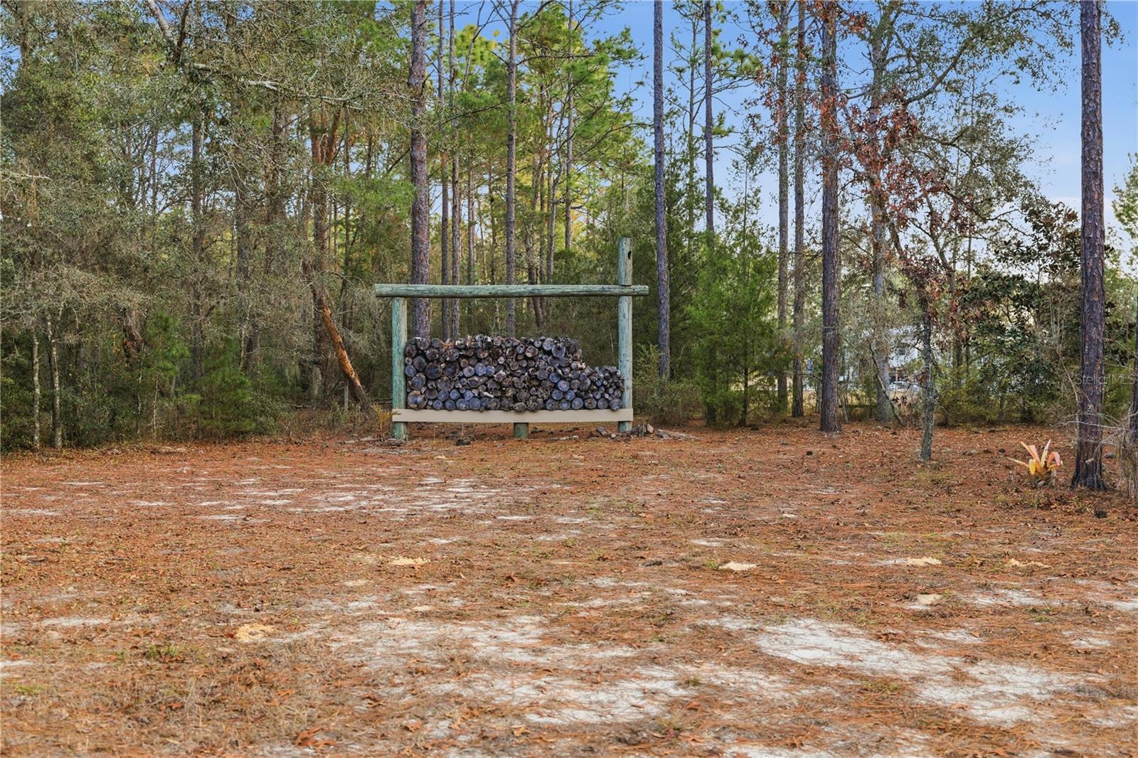 Image 38 of 44 For 12028 Pine Oak Terrace