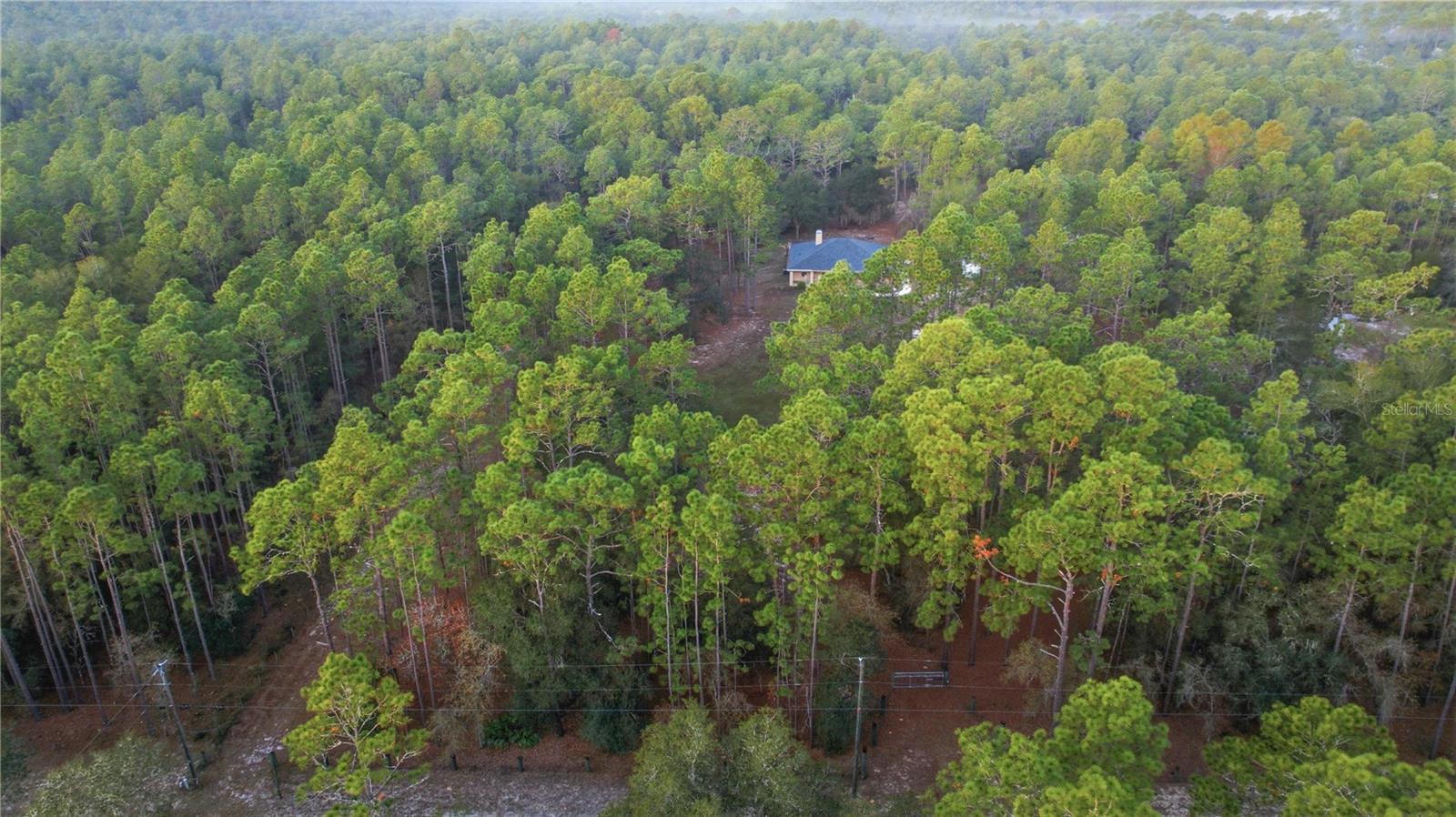 Image 41 of 44 For 12028 Pine Oak Terrace