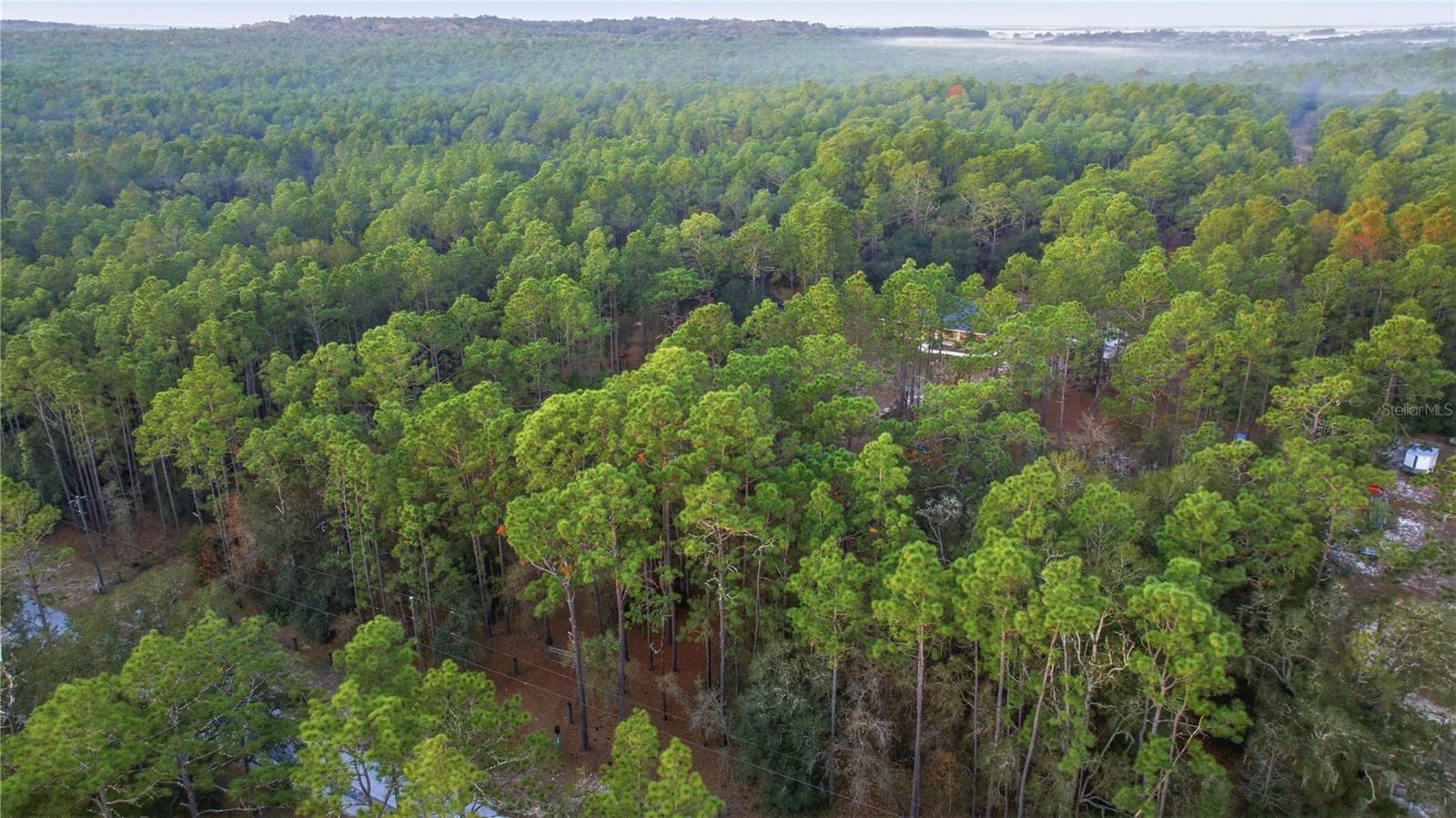 Image 42 of 44 For 12028 Pine Oak Terrace