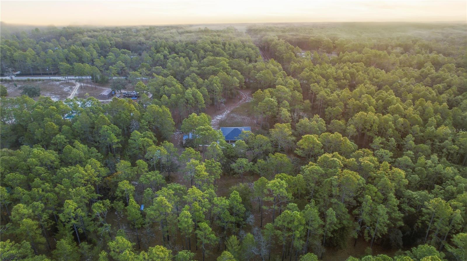 Image 7 of 44 For 12028 Pine Oak Terrace