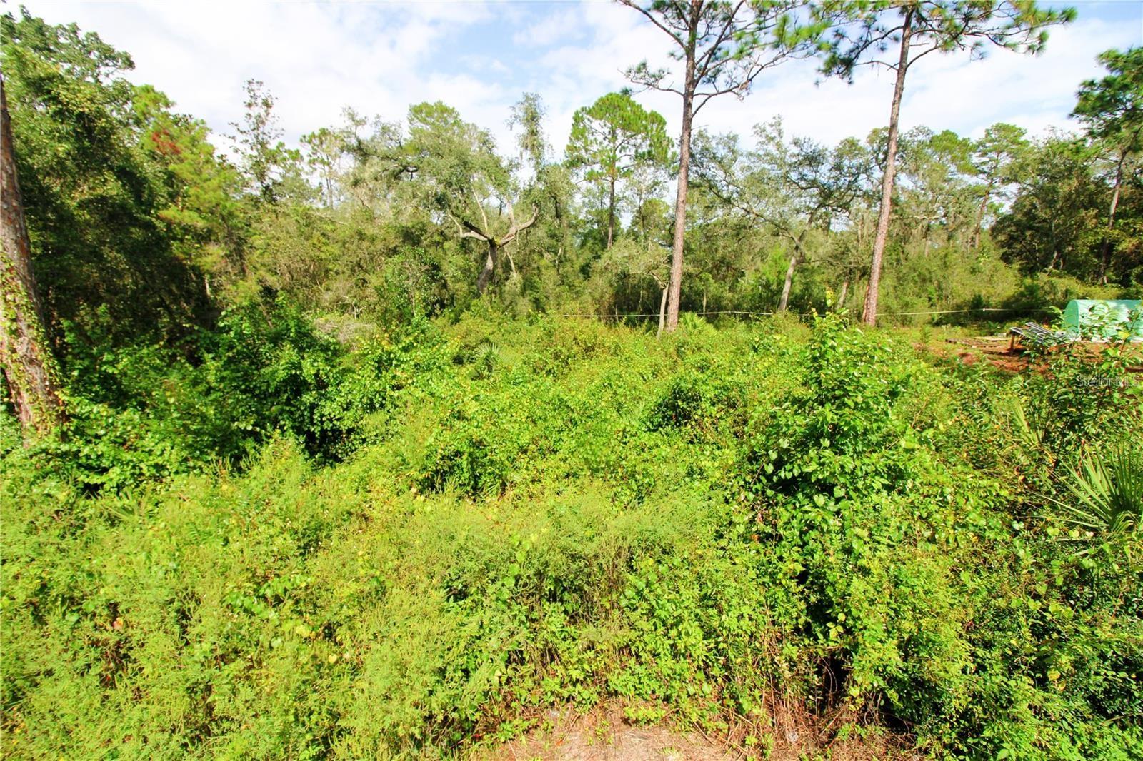 Image 4 of 5 For Tbd 10th Street