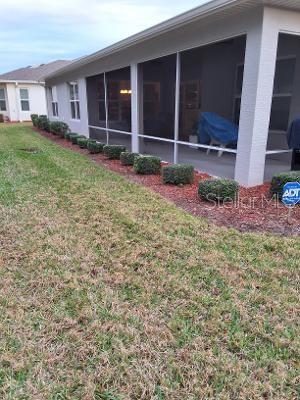 Image 32 of 48 For 10393 Silver Maple Avenue