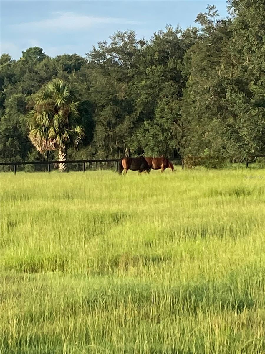 Image 39 of 57 For 20462 36th Street