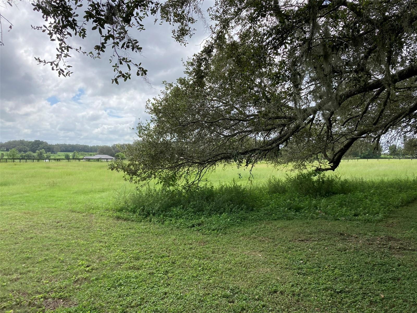 Image 40 of 57 For 20462 36th Street