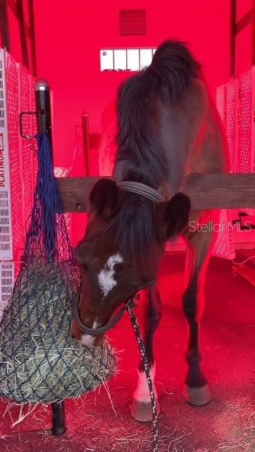 Image 47 of 57 For 20462 36th Street