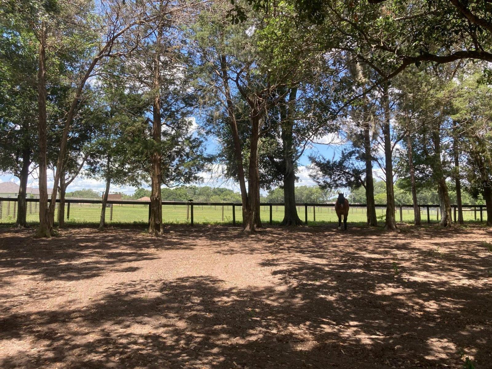 Image 51 of 57 For 20462 36th Street