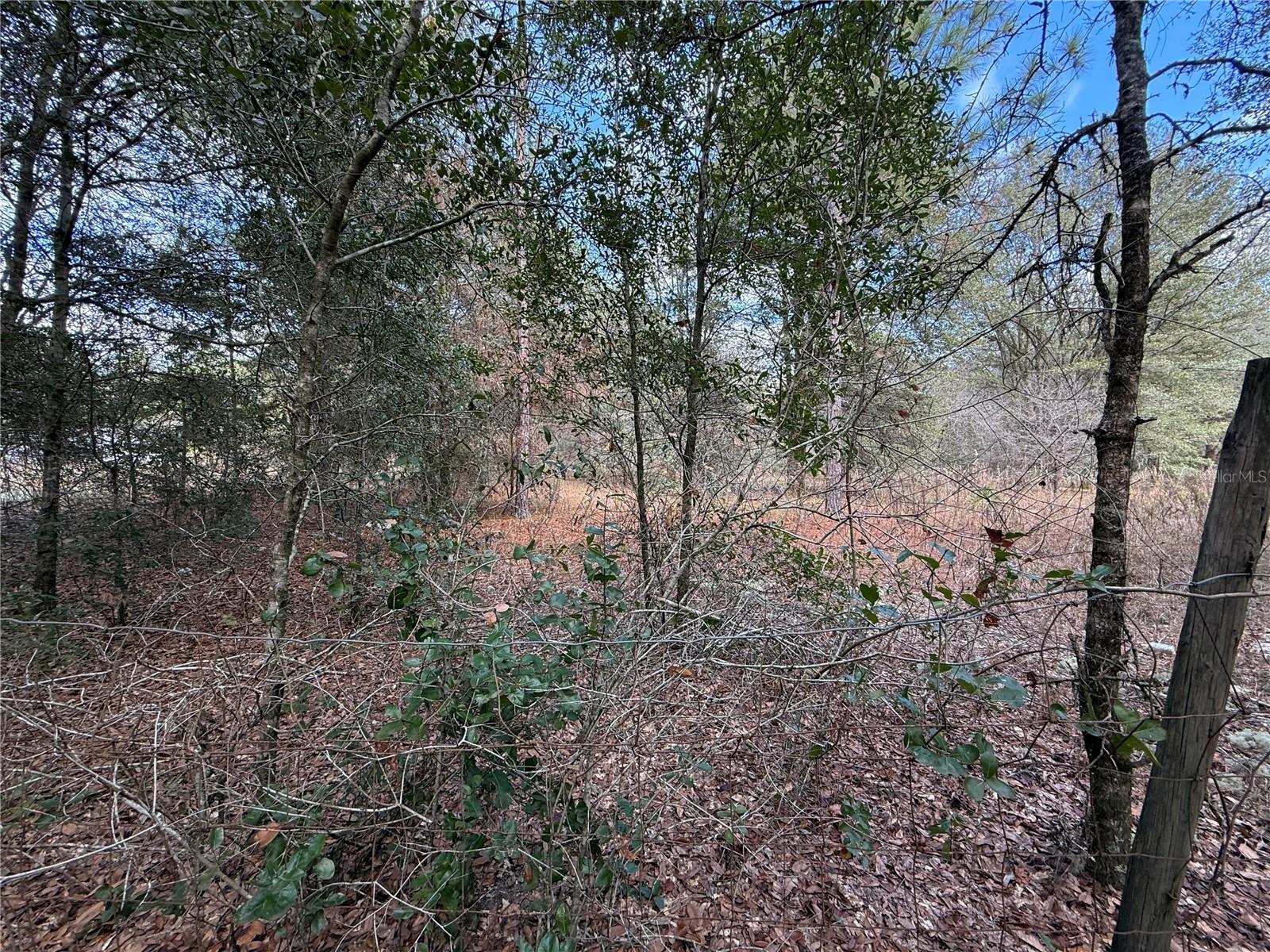 Details for Tbd 194th Street, CITRA, FL 32113