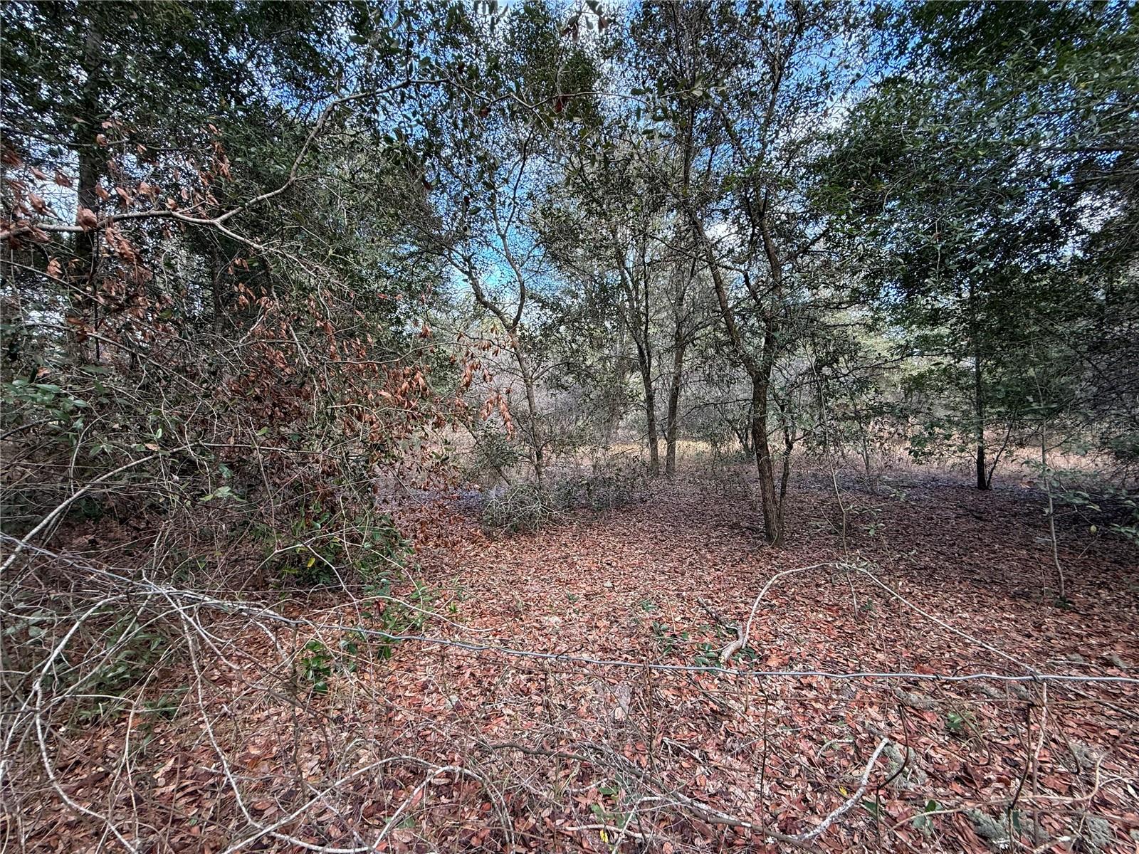 Image 2 of 6 For Tbd 194th Street