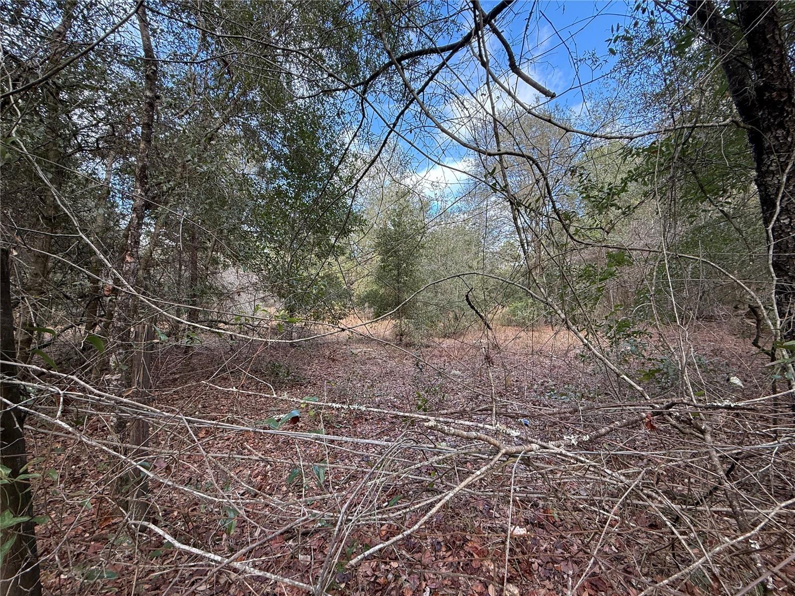 Image 3 of 6 For Tbd 194th Street