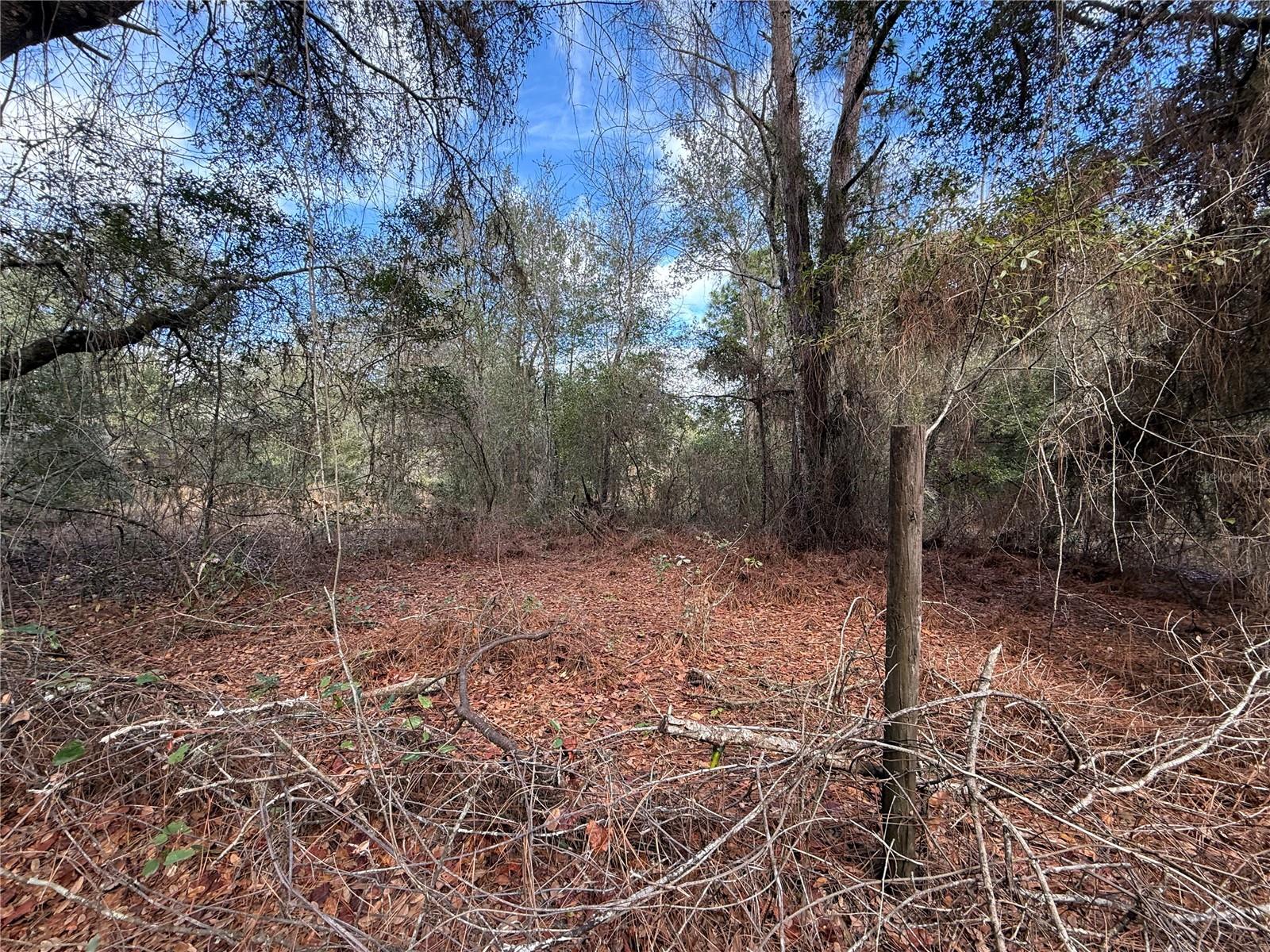 Image 4 of 6 For Tbd 194th Street