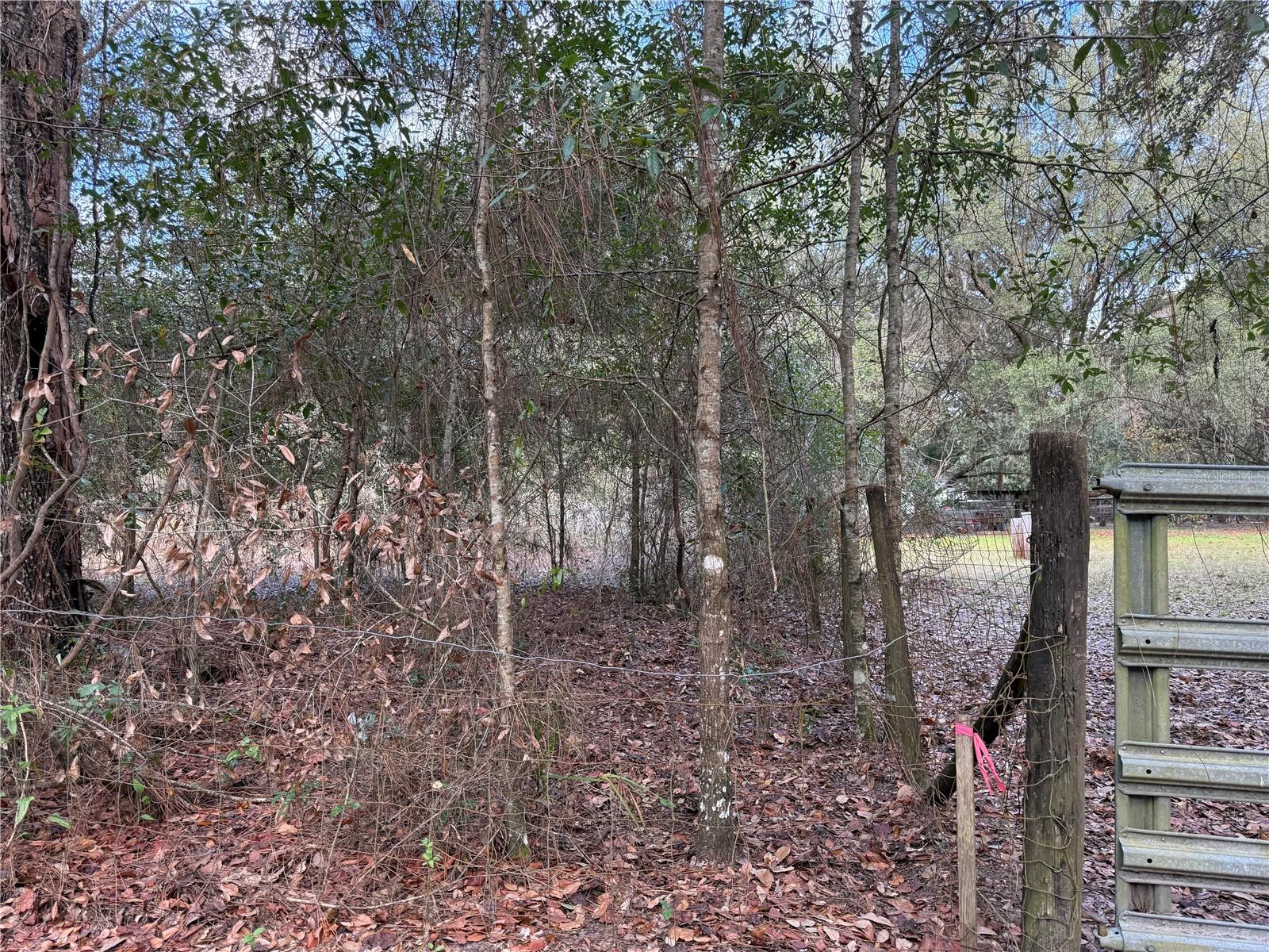 Image 6 of 6 For Tbd 194th Street