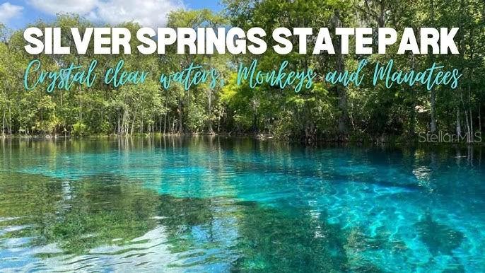 Image 41 of 43 For 902 130th Terrace