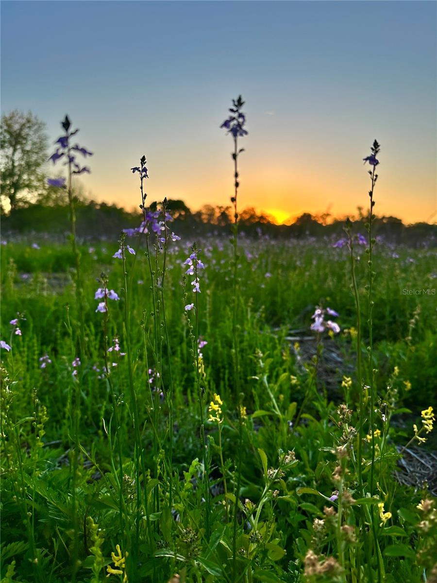 Image 3 of 4 For 13844 21st Court