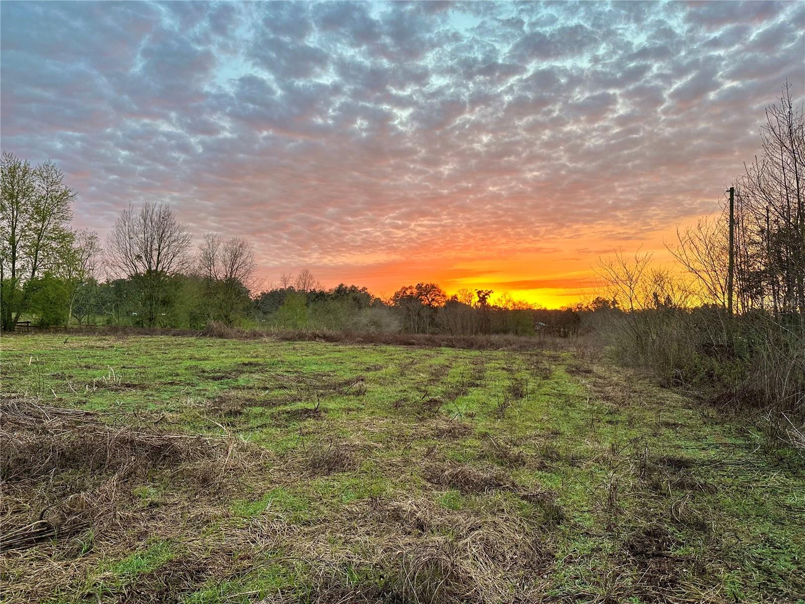 Image 4 of 4 For 13844 21st Court