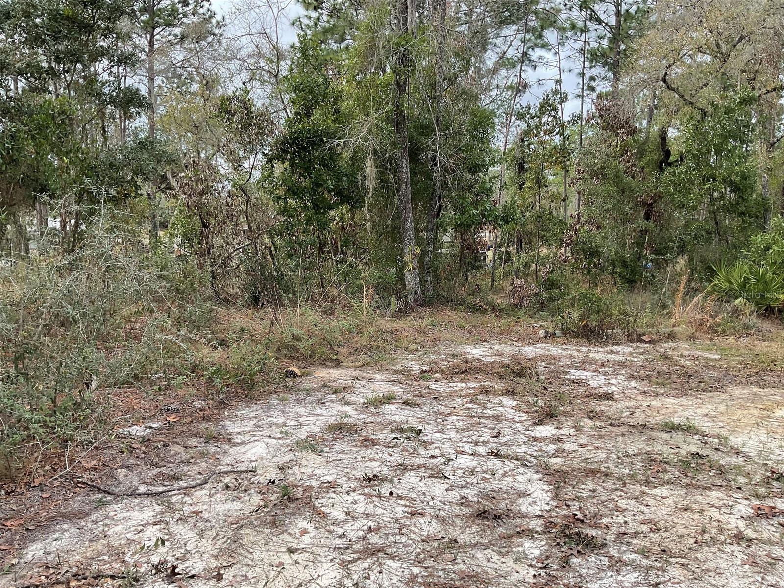 Image 11 of 43 For 90 132nd Terrace