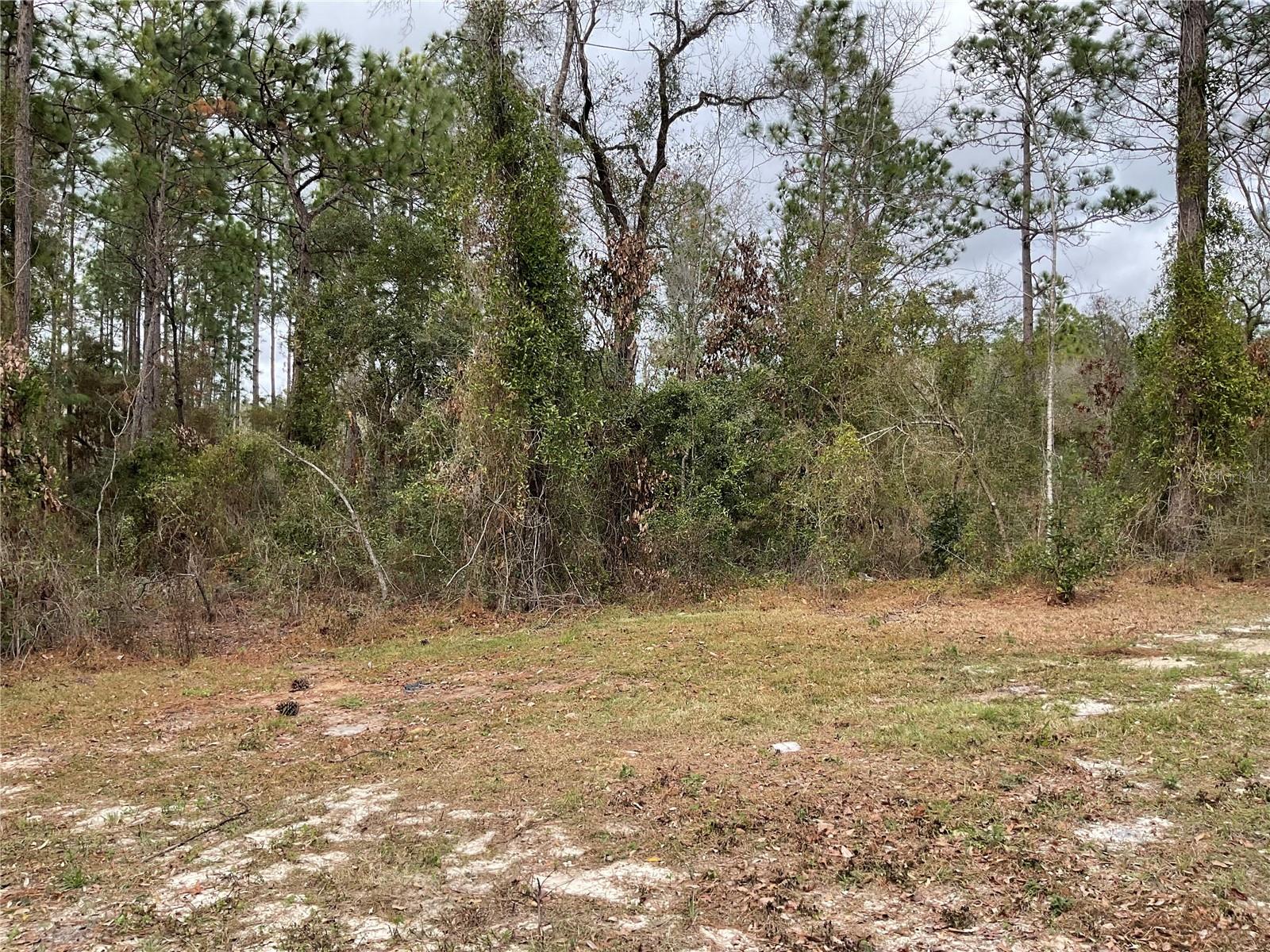 Image 12 of 43 For 90 132nd Terrace