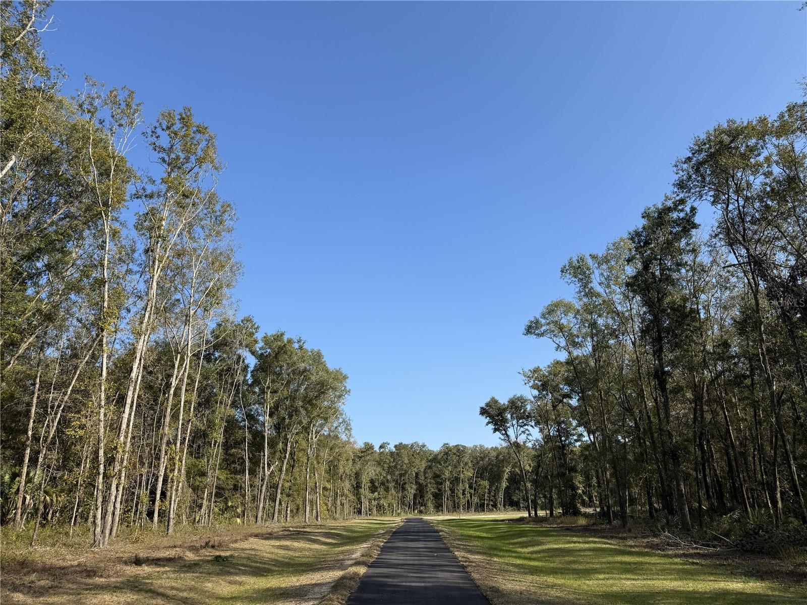 Details for Irvine Acres #3 (10ac) Hwy 318, REDDICK, FL 32686