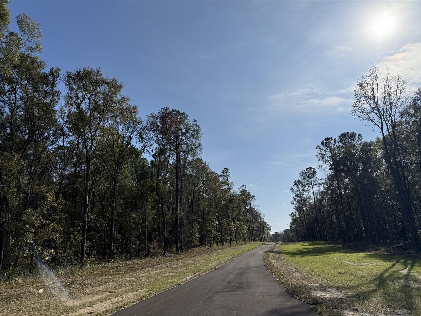 Image 11 of 15 For Irvine Acres #3 (10ac) Hwy 318