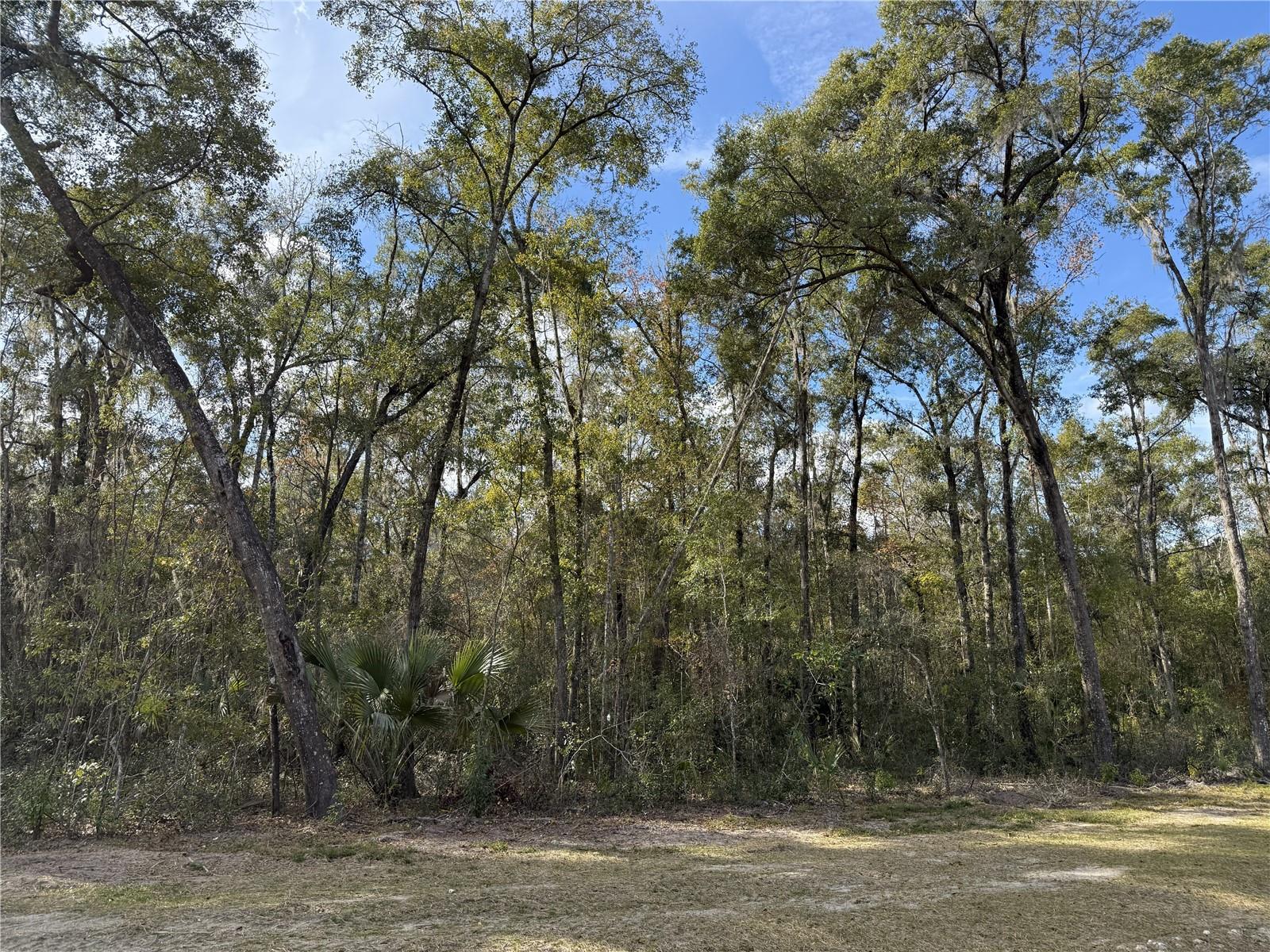 Image 5 of 15 For Irvine Acres #3 (10ac) Hwy 318