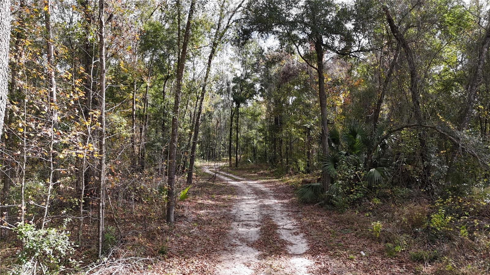 Image 6 of 15 For Irvine Acres #3 (10ac) Hwy 318