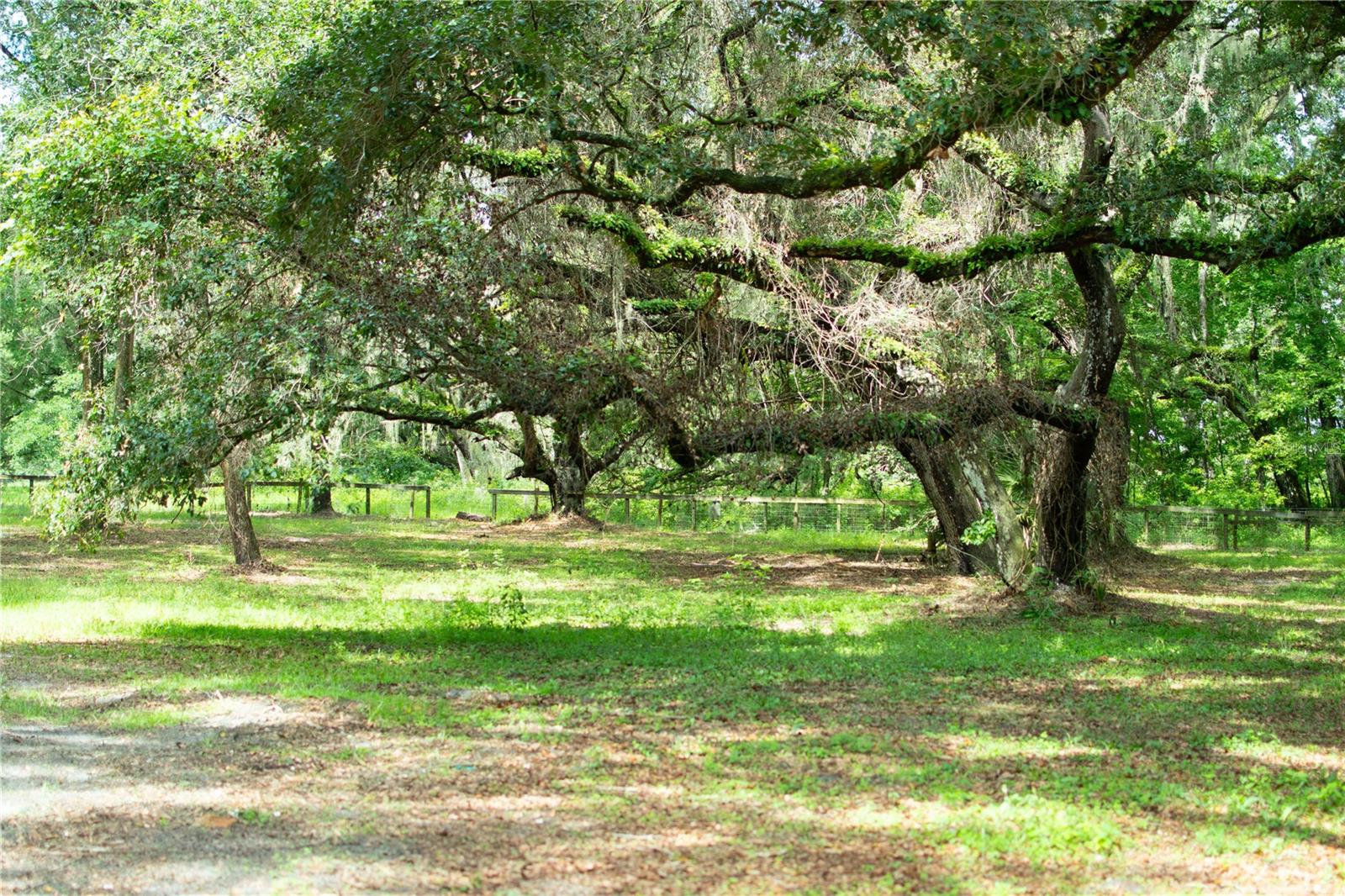 Details for 4100 89th Avenue, OCALA, FL 34481