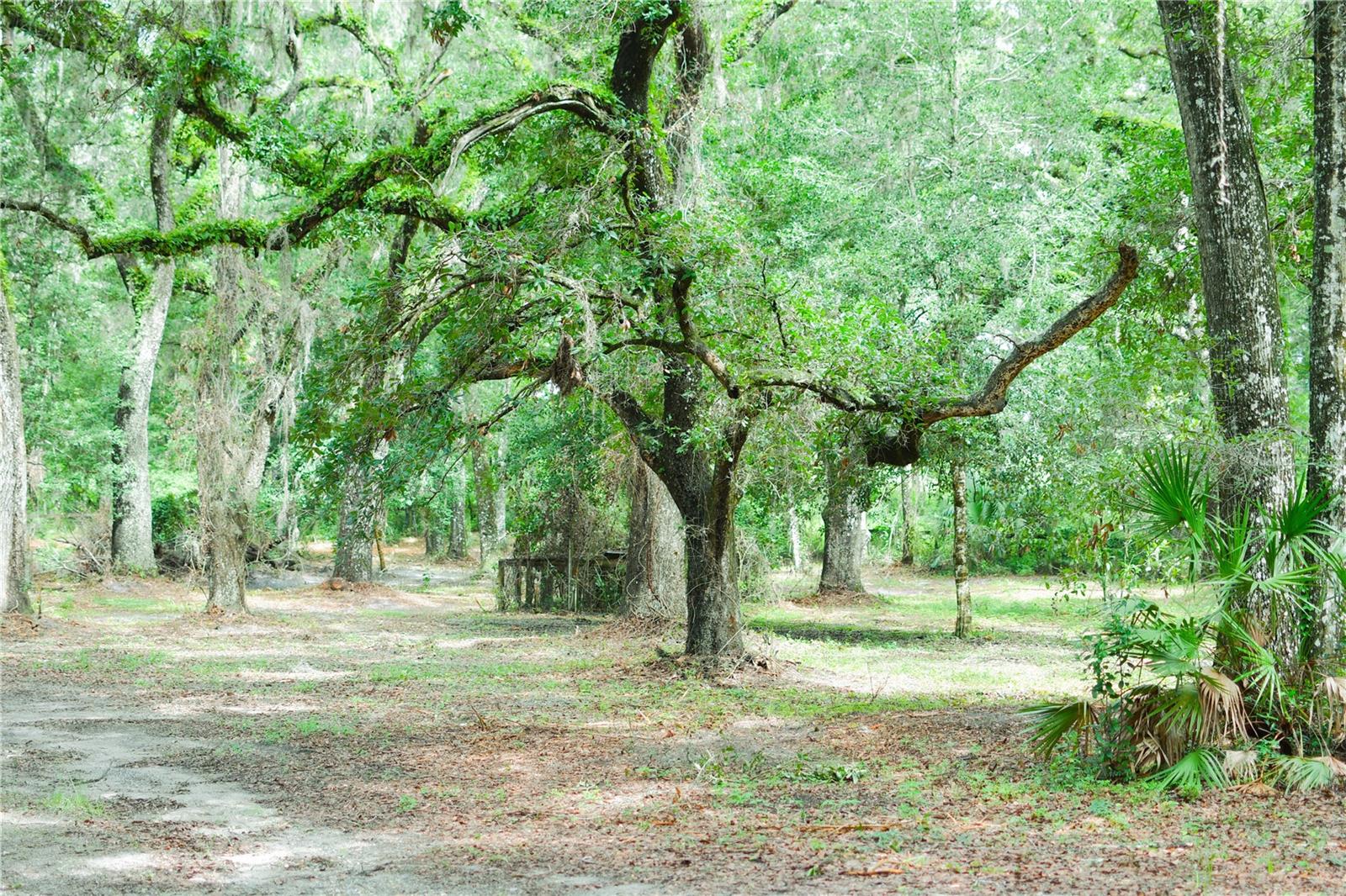 Image 10 of 19 For 4100 89th Avenue