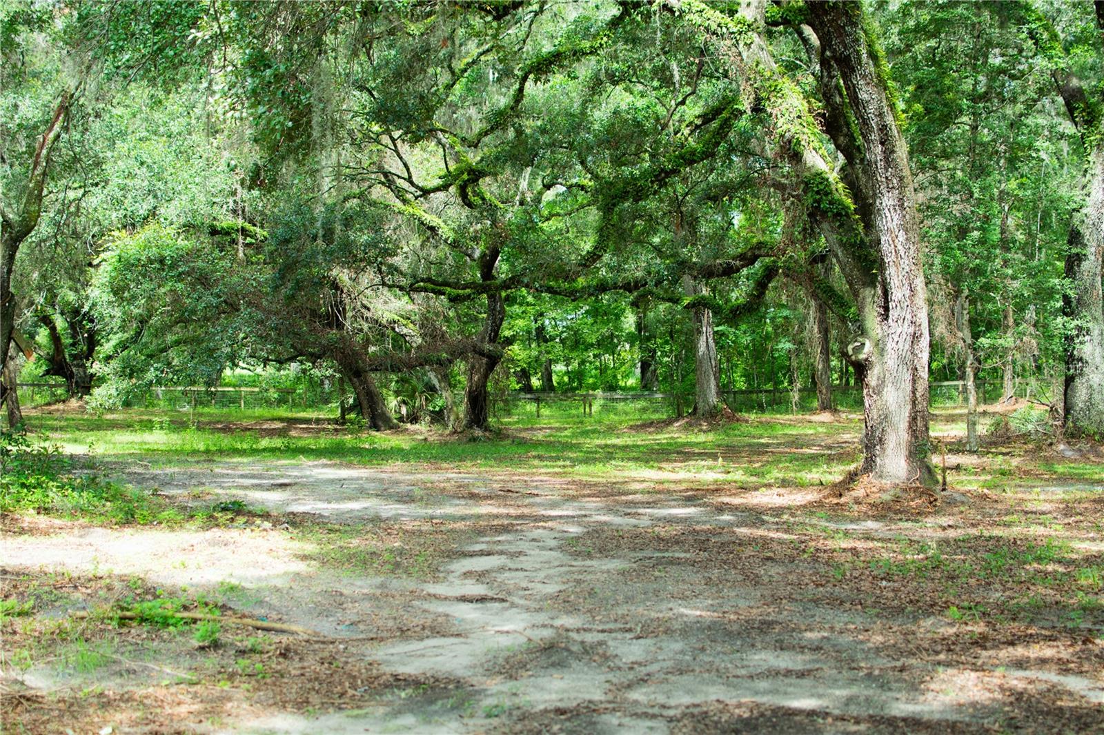 Image 12 of 19 For 4100 89th Avenue