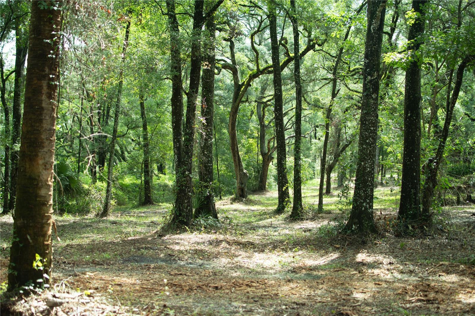 Image 13 of 19 For 4100 89th Avenue