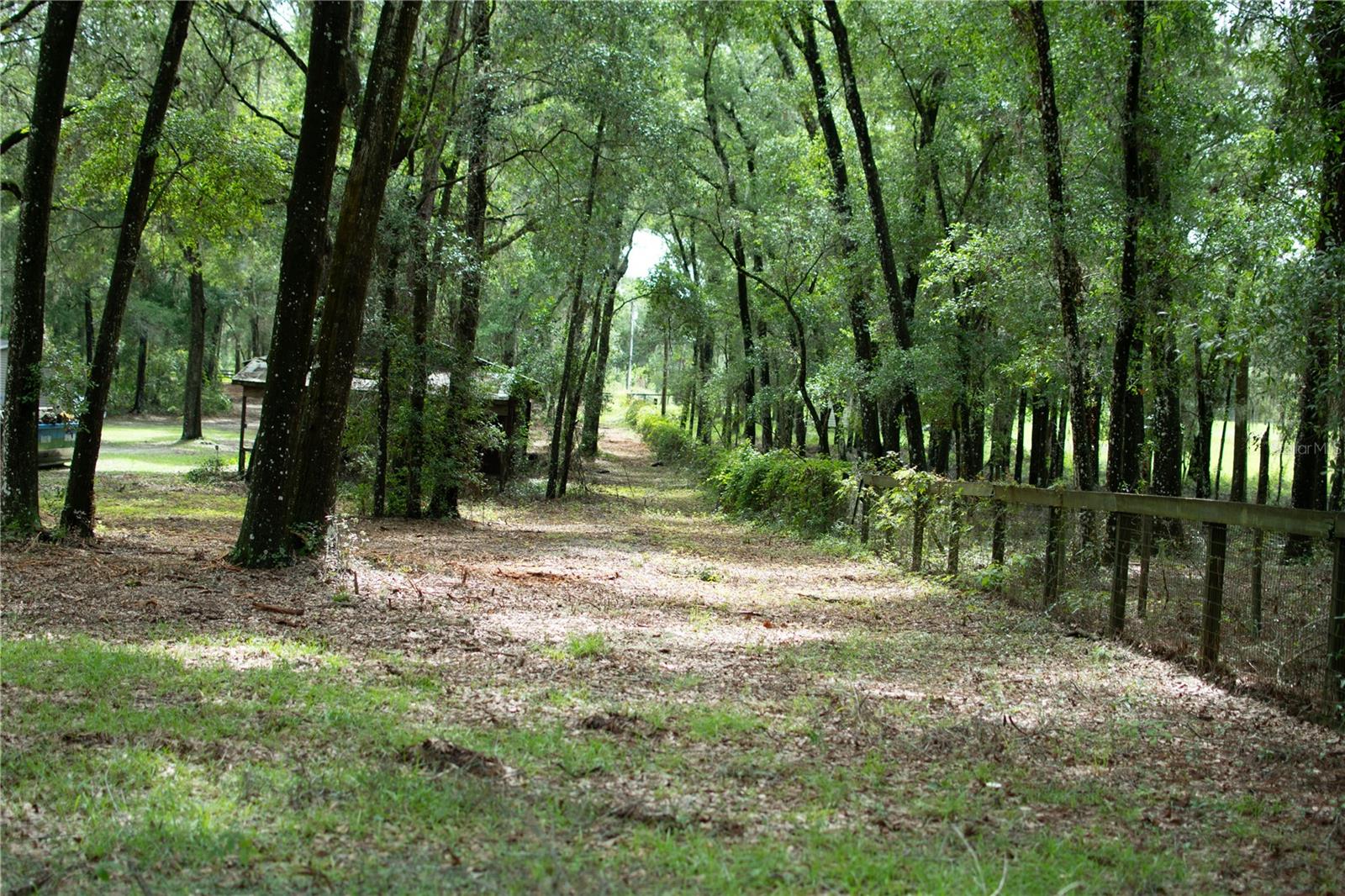 Image 15 of 19 For 4100 89th Avenue