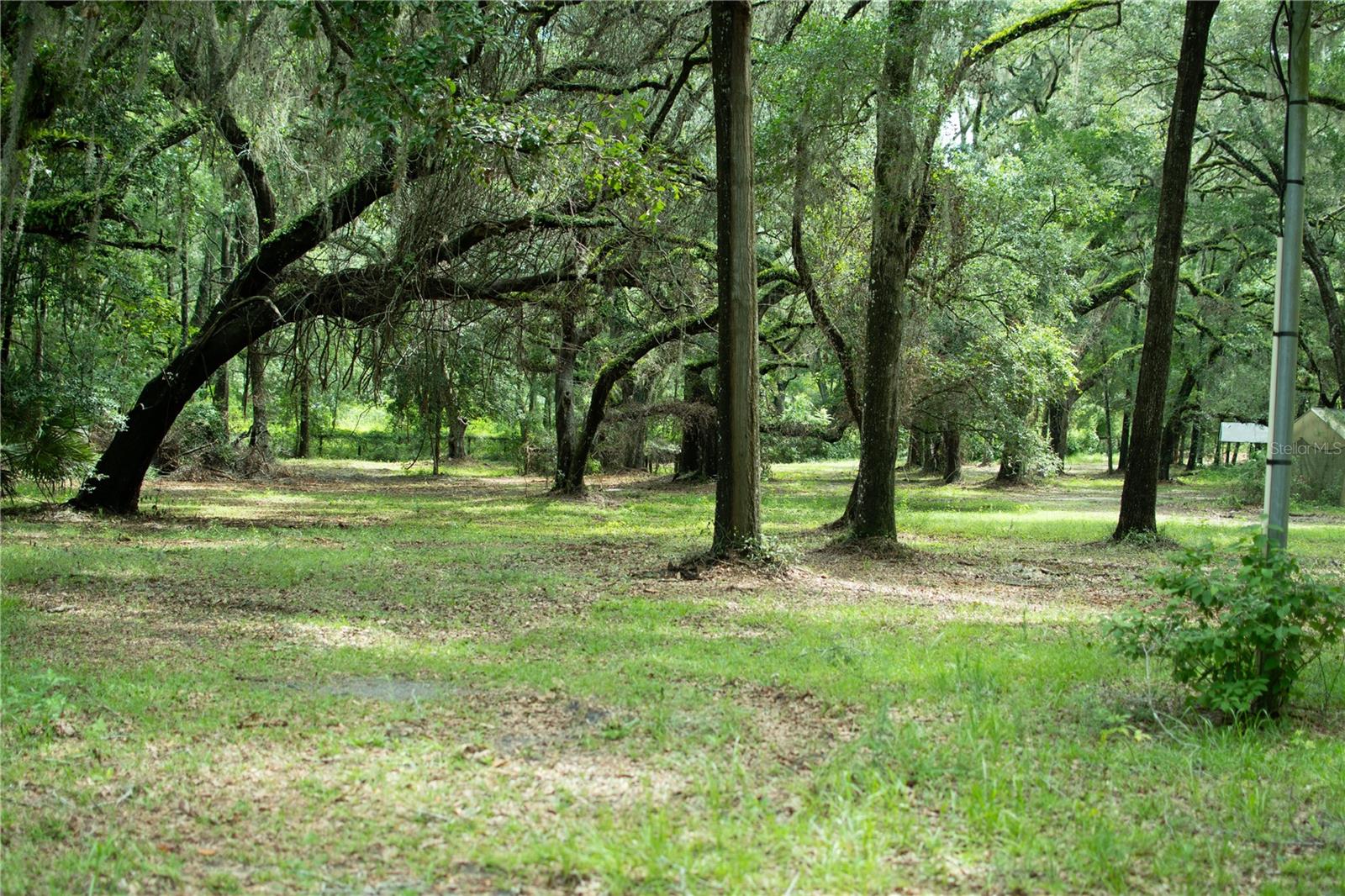 Image 16 of 19 For 4100 89th Avenue