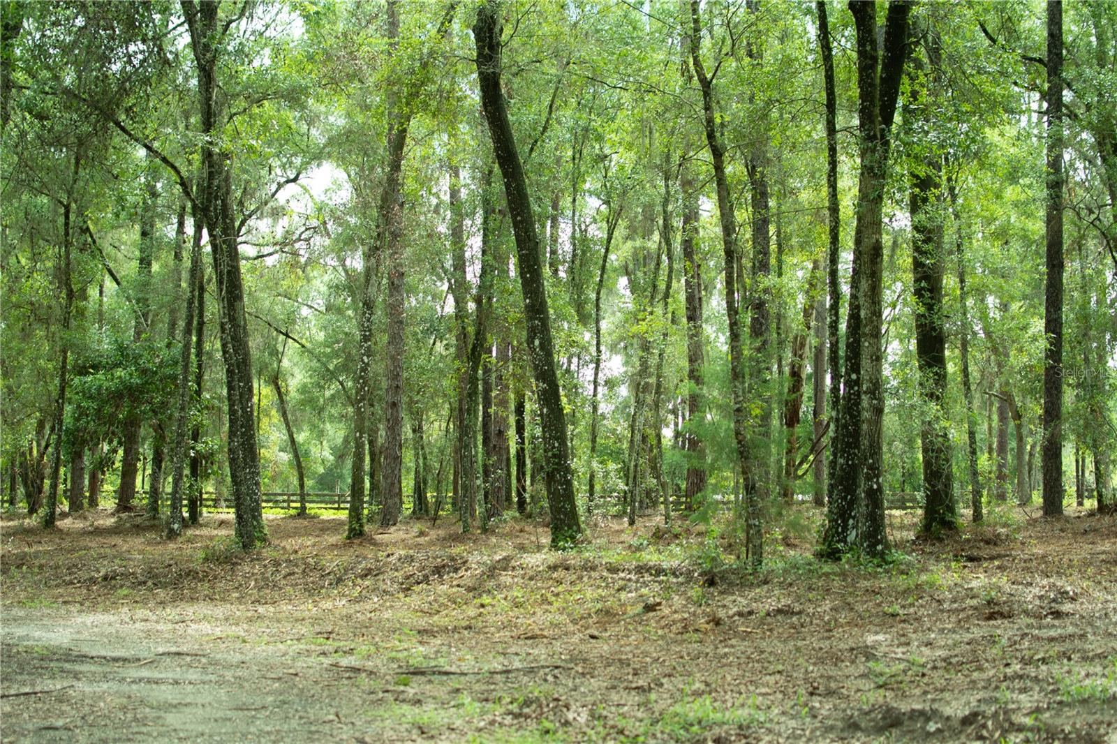 Image 18 of 19 For 4100 89th Avenue