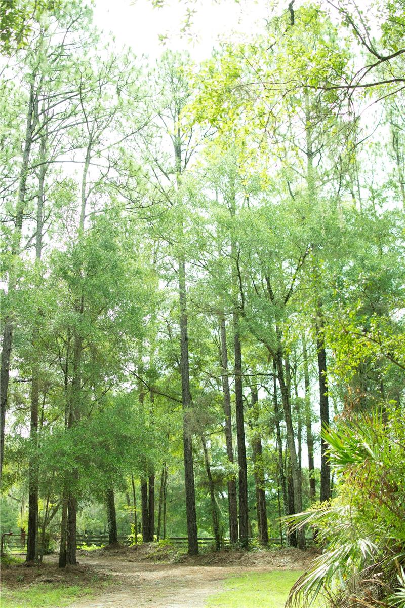 Image 7 of 19 For 4100 89th Avenue